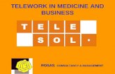 TELEWORK IN MEDICINE AND BUSINESS