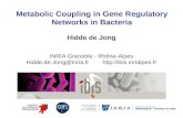 Metabolic Coupling in Gene Regulatory Networks in Bacteria