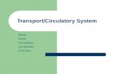 Transport/Circulatory System