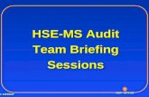 HSE-MS Audit Team Briefing Sessions
