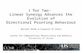 t  for Two:  Linear Synergy Advances the Evolution of Directional Pointing Behaviour