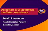 Detection of  b -lactamase- mediated resistance