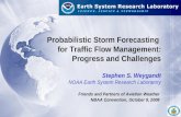 Probabilistic Storm Forecasting   for Traffic Flow Management: Progress and Challenges
