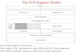 The TCP Segment Header