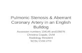 Pulmonic Stenosis & Aberrant Coronary Artery in an English Bulldog
