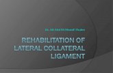 Rehabilitation of lateral collateral ligament