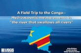 A Field Trip to the Congo-- Hydroacoustic  measurements in  "the river that swallows all rivers"
