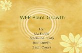 WFP Plant Growth
