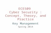 ECE509  Cyber  Security  : Concept,  Theory,  and Practice