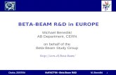 BETA-BEAM R&D in EUROPE