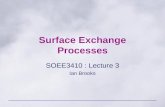 Surface Exchange Processes