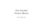 Flat Stanley Photo Album