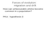 Forces of evolution:   migration and drift