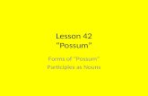 Lesson 42 “Possum”