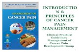 INTRODUCTION & PRINCIPLES OF CANCER PAIN MANAGEMENT