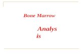 Bone Marrow Analysis Zhao xindong