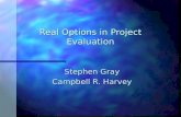 Real Options in Project Evaluation