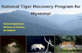 National Tiger Recovery Program for Myanmar