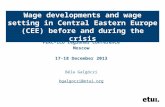 Wage developments and wage setting in Central Eastern Europe (CEE) before and during the crisis