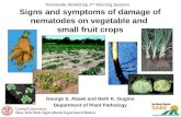 Signs and symptoms of damage of nematodes on vegetable and  small fruit crops