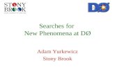 Searches for  New Phenomena at D Ø