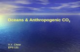 Oceans & Anthropogenic CO 2