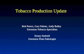 Tobacco Production Update