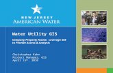 Water Utility GIS