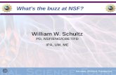 What's the buzz at NSF?