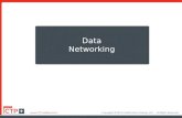 Data Networking