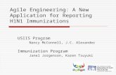 Agile Engineering: A New Application for Reporting H1N1 Immunizations