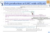 Z+b production at LHC with ATLAS