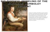 BIO-PHYSICAL MODELING OF THE NORTHERN  HUMBOLDT CURRENT