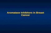 Aromatase Inhibitors in Breast Cancer
