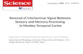 Reversal of  Interlaminar  Signal Between Sensory and  Memory Processing in Monkey Temporal Cortex