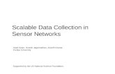 Scalable Data Collection in Sensor Networks