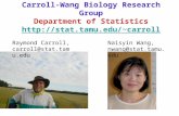 Carroll-Wang Biology Research Group Department of Statistics stat.tamu/~carroll