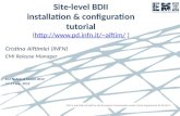 Site-level BDII installation & configuration tutorial ( pdfn.it/~aiftim/  )