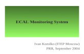 ECAL Monitoring System