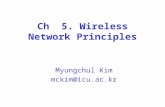 Ch  5. Wireless Network Principles