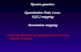 Reverse genetics: Quantitative Trait Locus  (QTL) mapping Association mapping