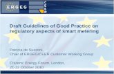 Draft Guidelines of Good Practice on regulatory aspects of smart metering