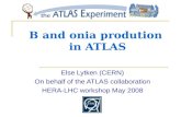 B and onia prodution  in ATLAS