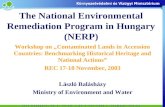 The National Environmental Remediation Program in Hungary ( N ERP)