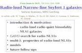 Radio-loud Narrow-line Seyfert 1 galaxies