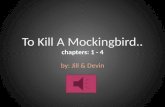 To Kill A Mockingbird.. c hapters: 1 - 4