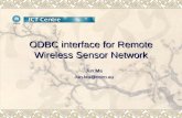 ODBC interface for Remote Wireless Sensor Network