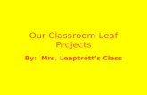 Our Classroom Leaf Projects