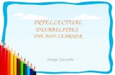 INTELLECTUAL DISABILITIES  THE MID LEARNER