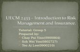 UECM 2433 – Introduction to Risk  Management and Insurance.